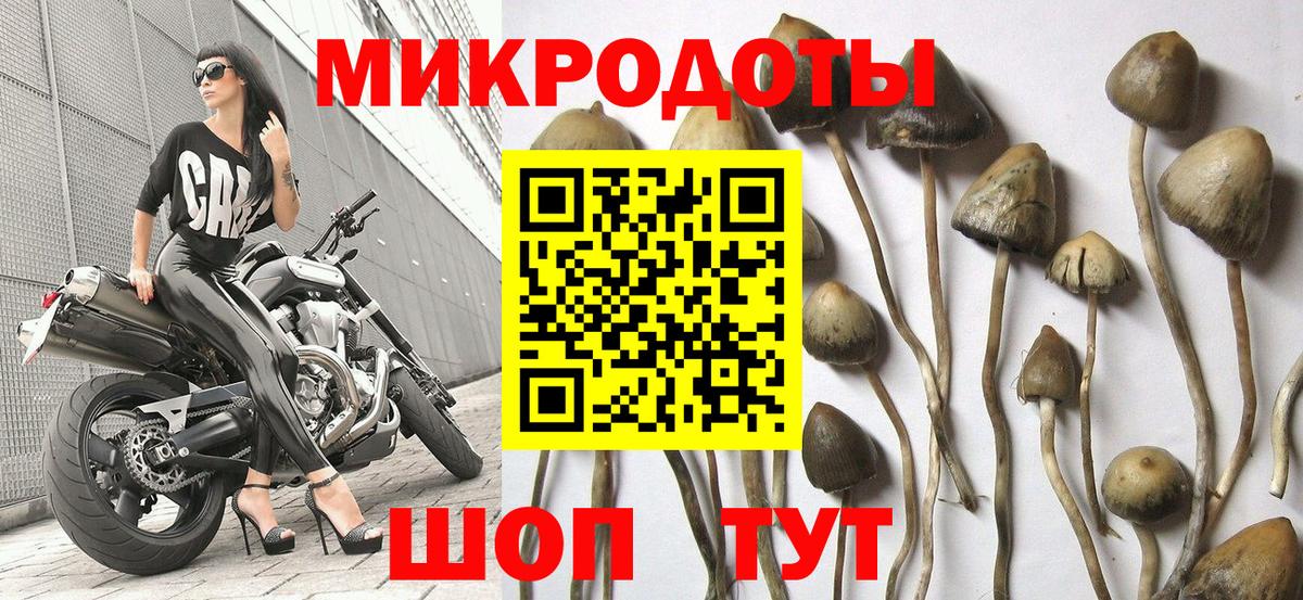 Карталы  Галлюциногенные грибы ЛСД  Галлюциногенные грибы Magic Shrooms  Вход с VPN 